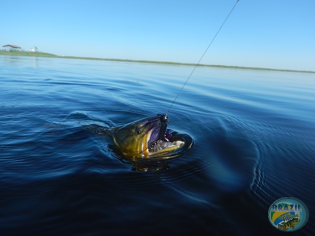 PIRA LODGE - Pantanal Argentino - Temporada 2.016